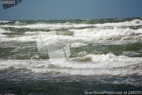 Image of nice waves