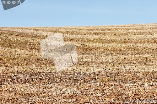 Image of Autumn field after harvesting soybean