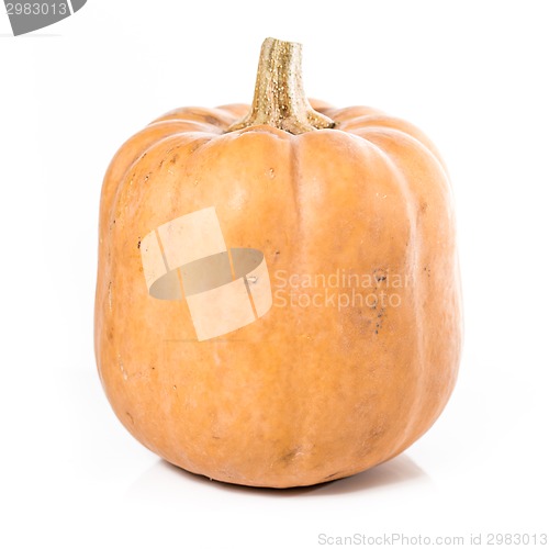 Image of pumpkin over white background