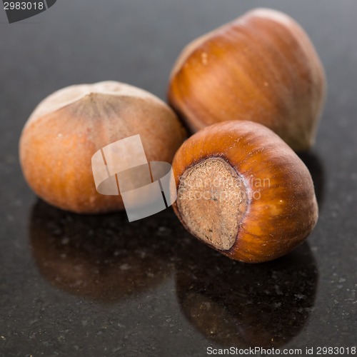 Image of Forest nuts hazelnuts