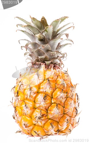 Image of Pineapple on white background