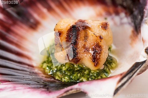 Image of Studio closeup of seared scallops