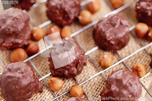 Image of hazelnut pralines