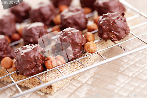 Image of hazelnut pralines