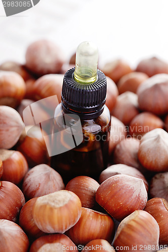 Image of hazelnut essential oil