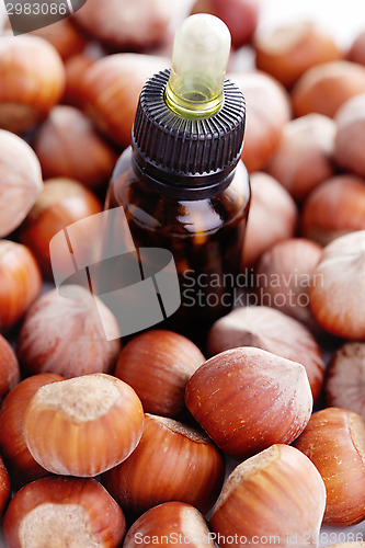 Image of hazelnut essential oil