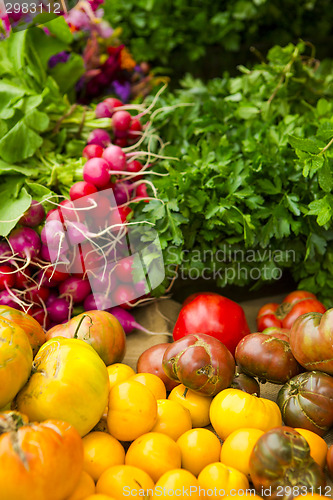 Image of Organic Vegetables