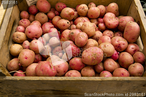 Image of Organic Potatoes