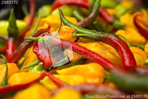 Image of Organic Peppers