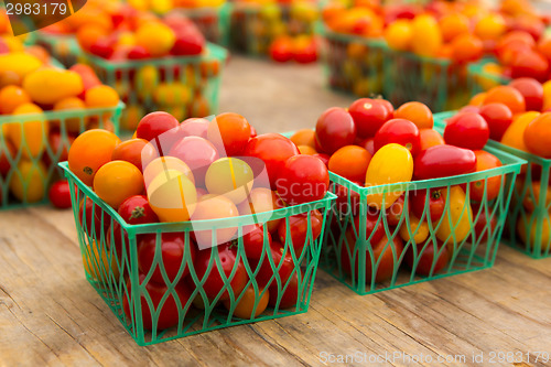 Image of Organic Tomatoes