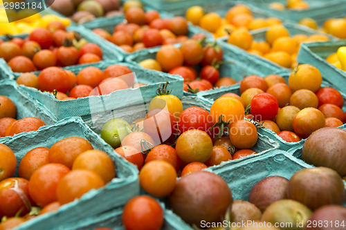 Image of Organic Tomatoes