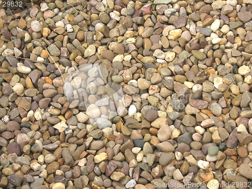 Image of pebble beach