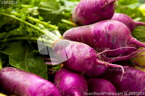 Image of Organic Turnips