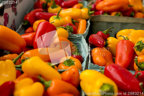 Image of Organic Peppers