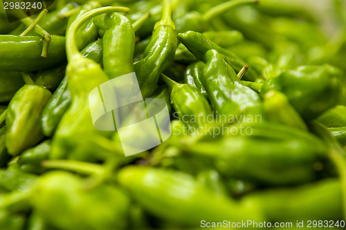 Image of Organic Peppers