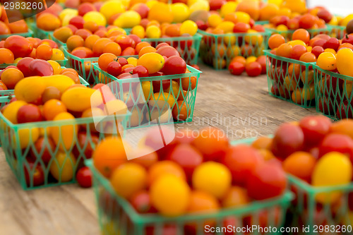 Image of Organic Tomatoes