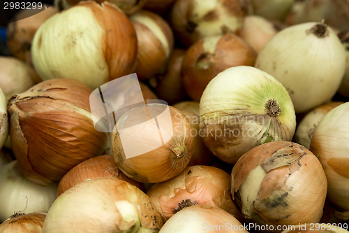 Image of Organic Onions