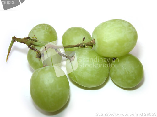 Image of Bunch of grapes