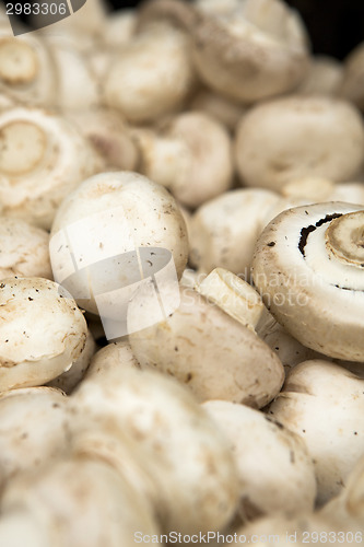 Image of Organic Mushrooms