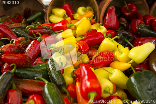 Image of Organic Peppers