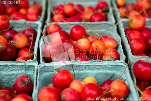 Image of Crabapples