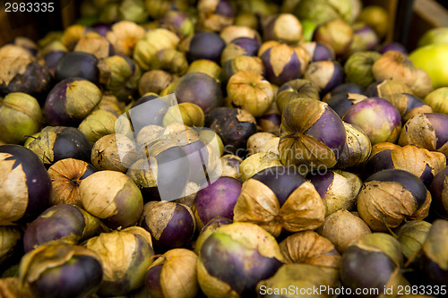 Image of Organic Tomatillos