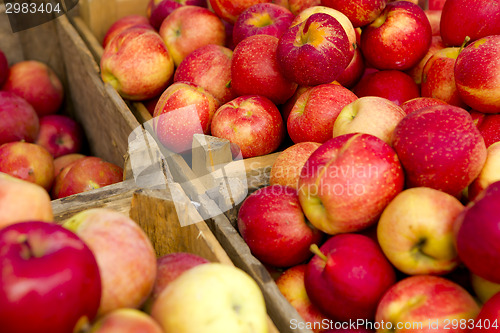 Image of Organic Apples