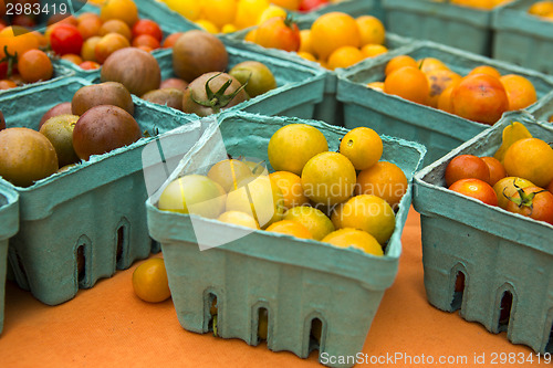 Image of Organic Tomatoes