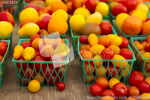 Image of Organic Tomatoes