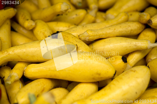 Image of Organic Zucchini