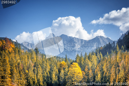 Image of autumn alps