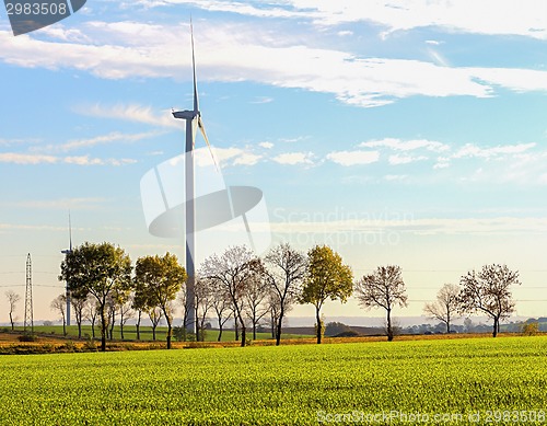 Image of Windmills 