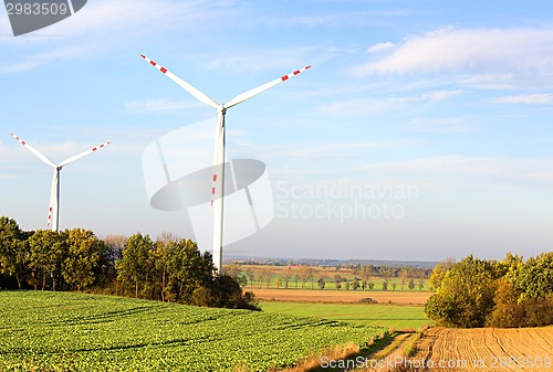 Image of Windmills 