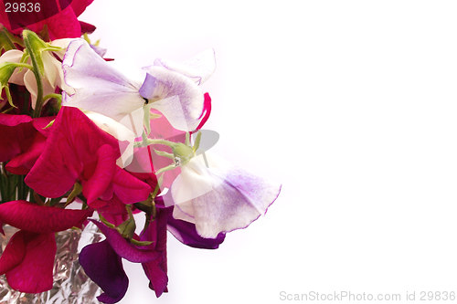 Image of bunch of sweetpeas