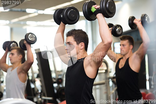 Image of group of men with dumbbells in gym