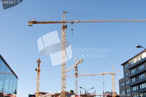Image of Four tower cranes