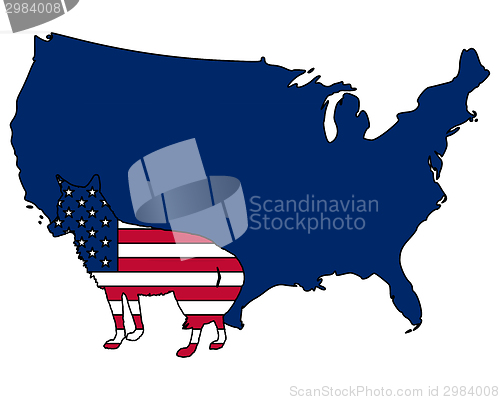 Image of Coyote USA