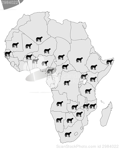 Image of Cheetah distribution Africa