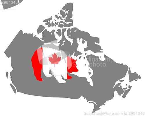 Image of Canadian grizzly