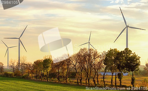 Image of Windmills 