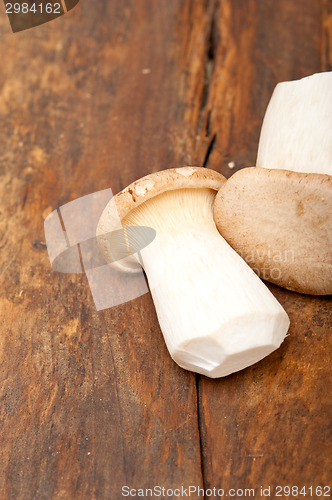 Image of fresh wild mushrooms