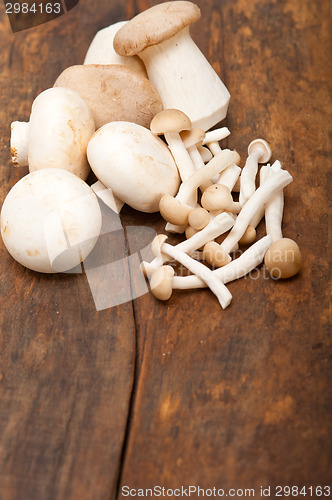 Image of fresh wild mushrooms