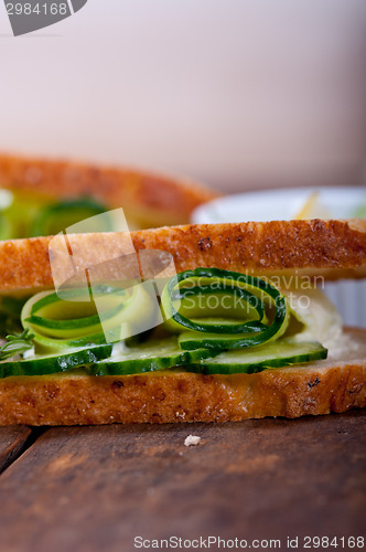 Image of fresh vegetarian sandwich with garlic cheese dip salad