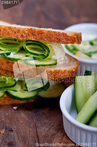 Image of fresh vegetarian sandwich with garlic cheese dip salad