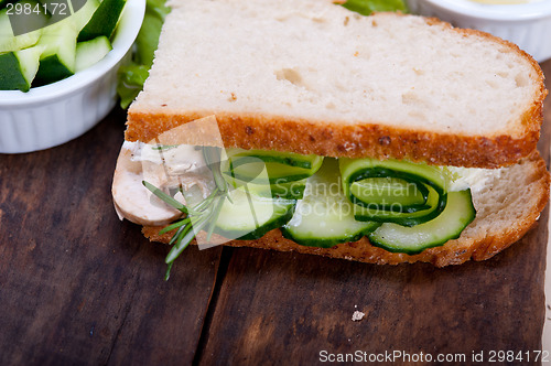 Image of fresh vegetarian sandwich with garlic cheese dip salad