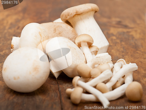 Image of fresh wild mushrooms