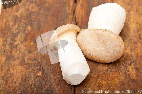 Image of fresh wild mushrooms