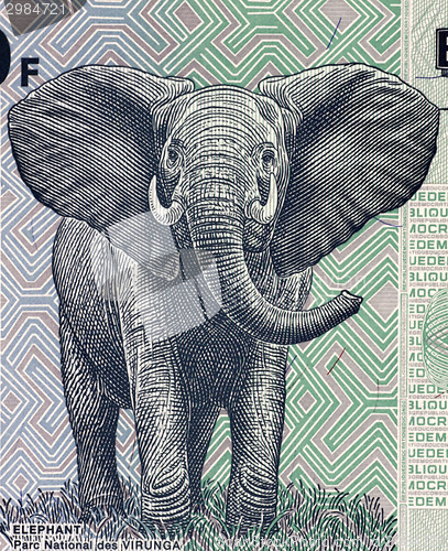 Image of Elephant 