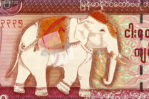 Image of Elephant 