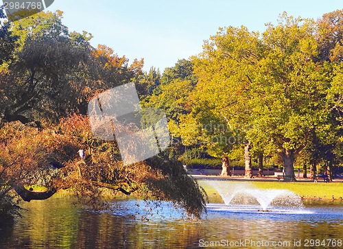 Image of Fountains in park